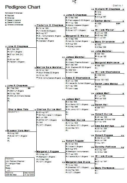 Pedigree Chart Numbering System A Visual Reference Of Charts Chart