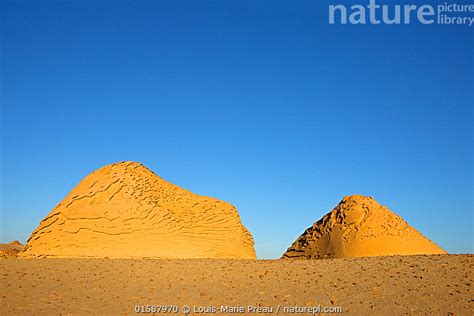 Stock Photo Of Wadi El Hitan Whale Valley Wadi Hitan National Park