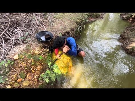 VIRAL SUNGAI EMAS DI INDONESIA PENEMUAN BANYAK EMAS DI ALIRAN SUNGAI