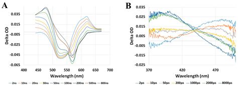 Ultrafast Transient Absorption Spectra And Kinetics Of Rod And Cone