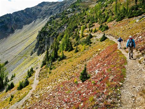 The Pacific Crest Trail Is So Popular It Needs a New Permit System ...