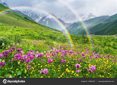 Summer landscape with a rainbow and mountain flowers — Stock Photo ...