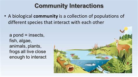 Biological Community Example