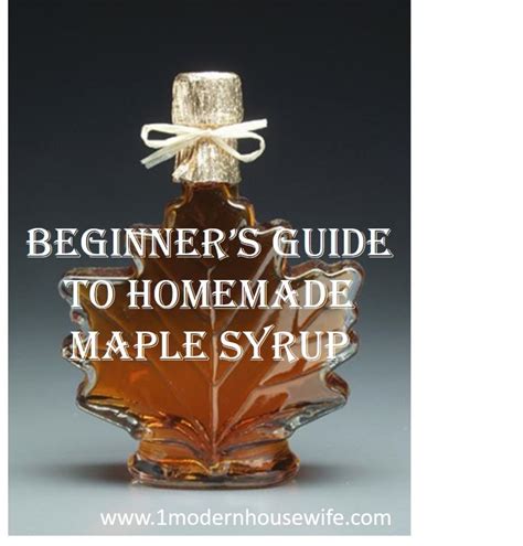 Beginner S Guide To Homemade Maple Syrup Hubpages