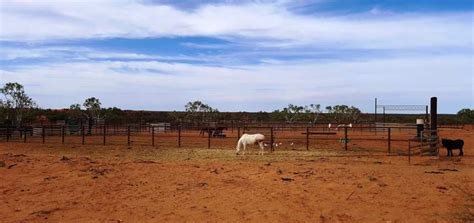 Bullara Station Wa Aussie Caravanning Lifestyle