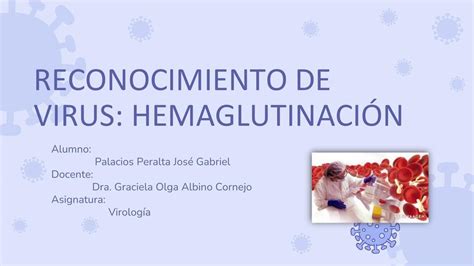 Reconocimiento de virus Hemaglutinación Shirley Luviana Bustamante