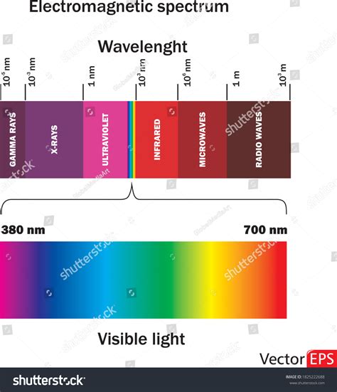 Visible Light Diagram Color Electromagnetic Spectrum Stock Vector