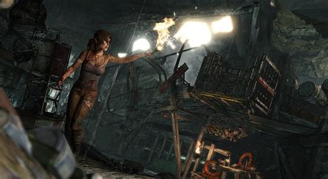 HD Wallpaper Lara Croft Survivor 2013 Woman Wearing Gray Tank Top