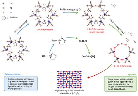 The Dynamic Formation From Metalorganic Frameworks Of Highdensity