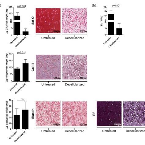 Morphological And Cellular Content Of Decellularized Bovine Cartilage