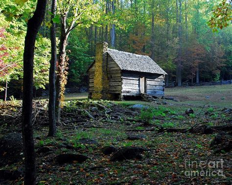 The Woods: Unicorn Cabin In The Woods