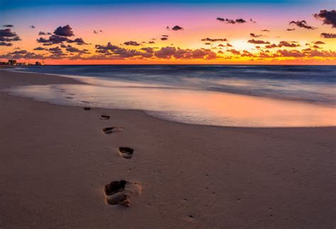 Footprints In The Sand On The Beach Background