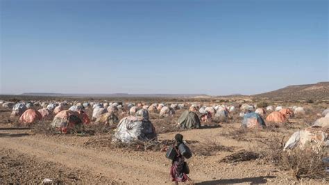 Record 71 Million Internally Displaced People Worldwide Shafaq News