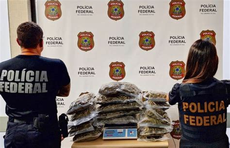 Polícia Federal apreende 10 6 kg de skunk na Zona Sul do RS Rádio