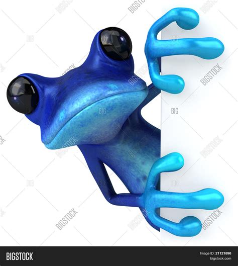 Blue Frog Image & Photo (Free Trial) | Bigstock