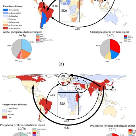 A Flow Of Phosphorus Fertilizers In The Global Supply Chain B