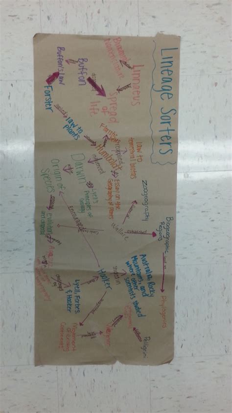 Biogeography History Concept Maps - UCF d3 ecology labUCF d3 ecology lab