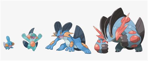 View Swampert Evolutionary Line Pokemon Swampert 861x299 Png