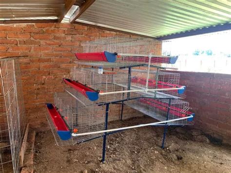 Jaula Módulo Para Gallinas Ponedoras Pirámide 6 Jaulas MercadoLibre