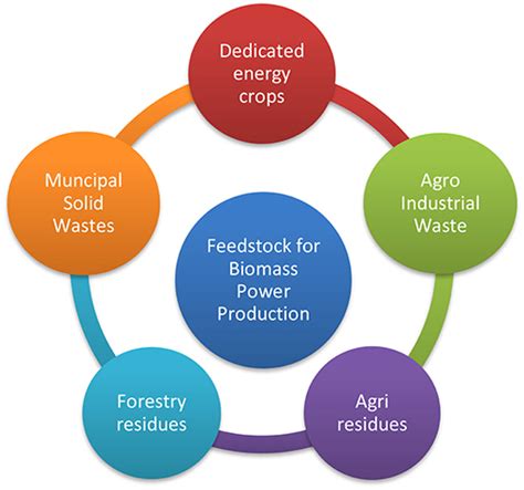 Frontiers Unlocking The Potential Of Biomass Energy In Pakistan