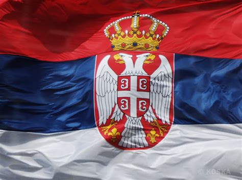 Top Srpska Zastava Wallpaper