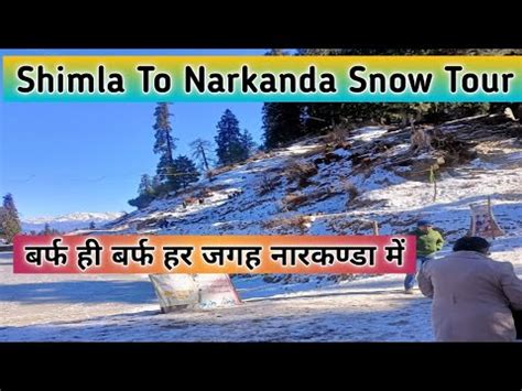 Shimla Narkanda Live Snowfall Shimla Live Snowfall Today Shimla Today