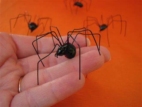 Scary Black Widow Spider