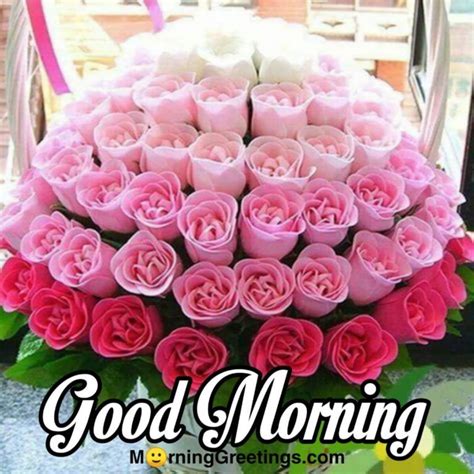 Good Morning Wishes With Rose Morning Greetings Morning Quotes