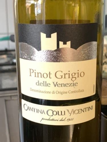 Colli Vicentini Pinot Grigio Veneto Vivino Us