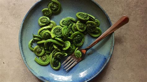 Best Country Sauteed Fiddleheads Recipes