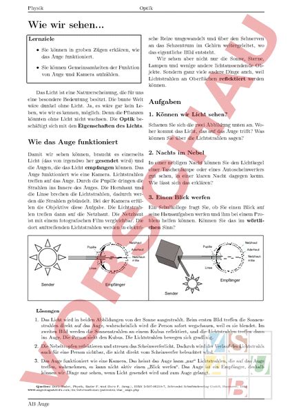 Arbeitsblatt Wie Wir Sehen Physik Optik