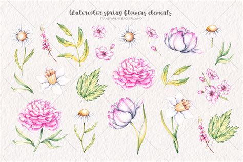 Watercolor Spring Flowers Watercolor Clipart Png By Skartiststudio