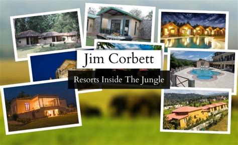 Top 20 Jim Corbett Resorts Inside Jungle