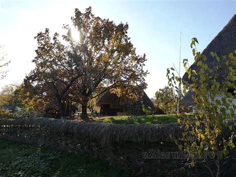 N C Utare De Comori La Muzeul De Etnografie I Art Popular Baia Mare