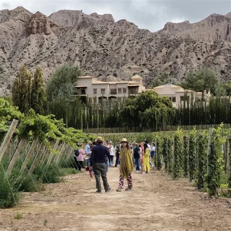 Vinos Gastronom A Y Arte Llega Una Nueva Edici N De La Vendimia En La