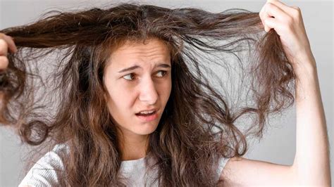 Troubled With Dry And Brittle Hair Try These 4 Diy Shampoo Recipes To