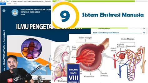 Kelas 8 Semester 2 Bab 9 Sistem Ekskresi Manusia Bse K13 Revisi 2017