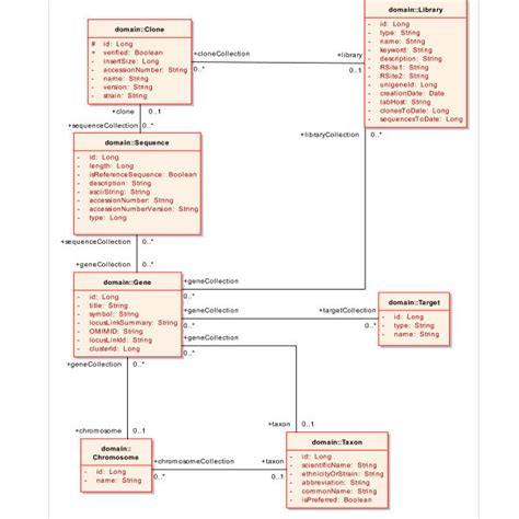 41 The Domain Model Class Diagram Is Used To Diagram For You