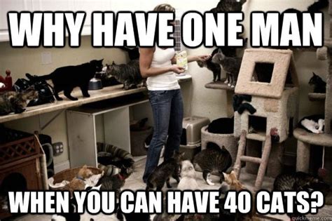 18 Hilarious Cat Lady Memes Only Cat Ladies Will Truly Understand Page 2 Of 2