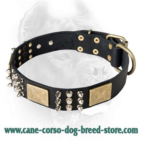 Best Buy Designer Leather Dog Collars: Cane Corso Collar with Decor