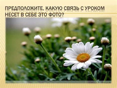 Подвиг во имя любви - презентация онлайн
