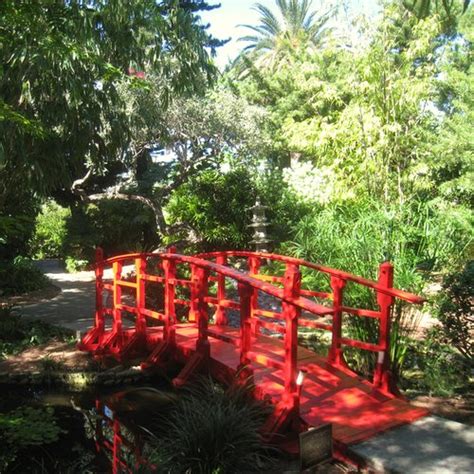 Botanical Gardens in Miami - The Best Ones to Visit - Amateur Traveler