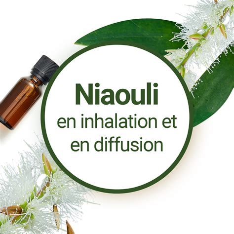 Comment Utiliser Lhuile Essentielle De Niaouli En Inhalation Et