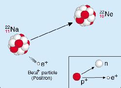 Positron Decay Equation