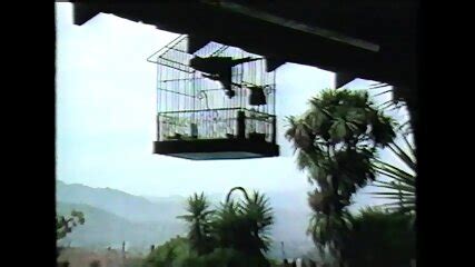 Anal Priority USA 1985 Sheri St Clair Nicole West