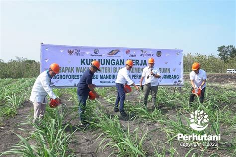 Perhutani Kementerian BUMN Dorong Perhutani Bantu Produksi Gula ...