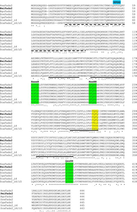 Comparison Of The Deduced Amino Acid Aa Sequence Of The Cloned P