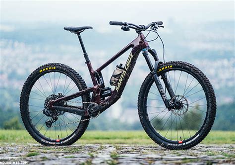Santa Cruz Bike – Wolfi's