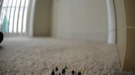 Montana S Unaware Flea People Extermination Mov Amateur Soles Giantess And Footjobs