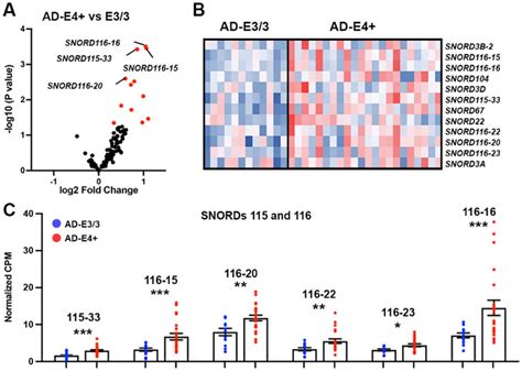 Increased Expression Of Select SNORD115 And SNORD116 Genes In E4 Vs